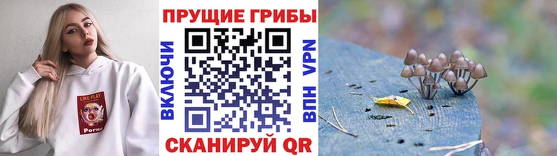 Псилоцибиновые грибы мухоморы  купить наркоту  Старый Крым 
